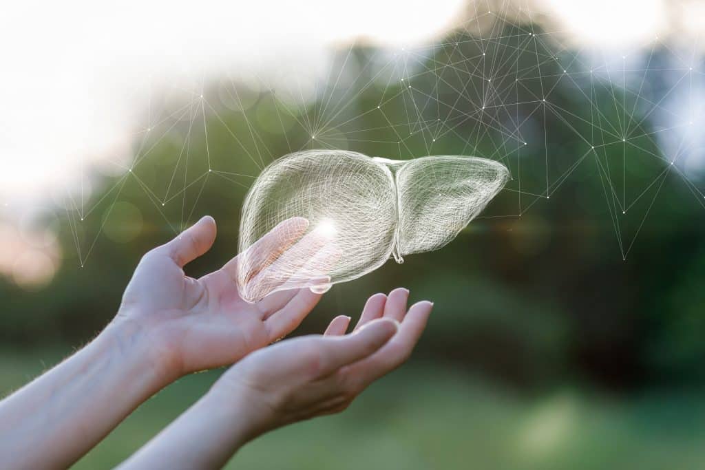 3 Essential Herbs for Liver Health and How to Use Them?
