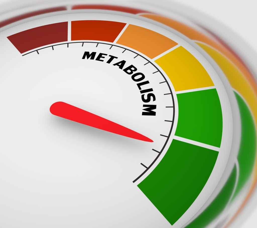 4 Ways to Boost Your Metabolism and Accelerate Weight Loss