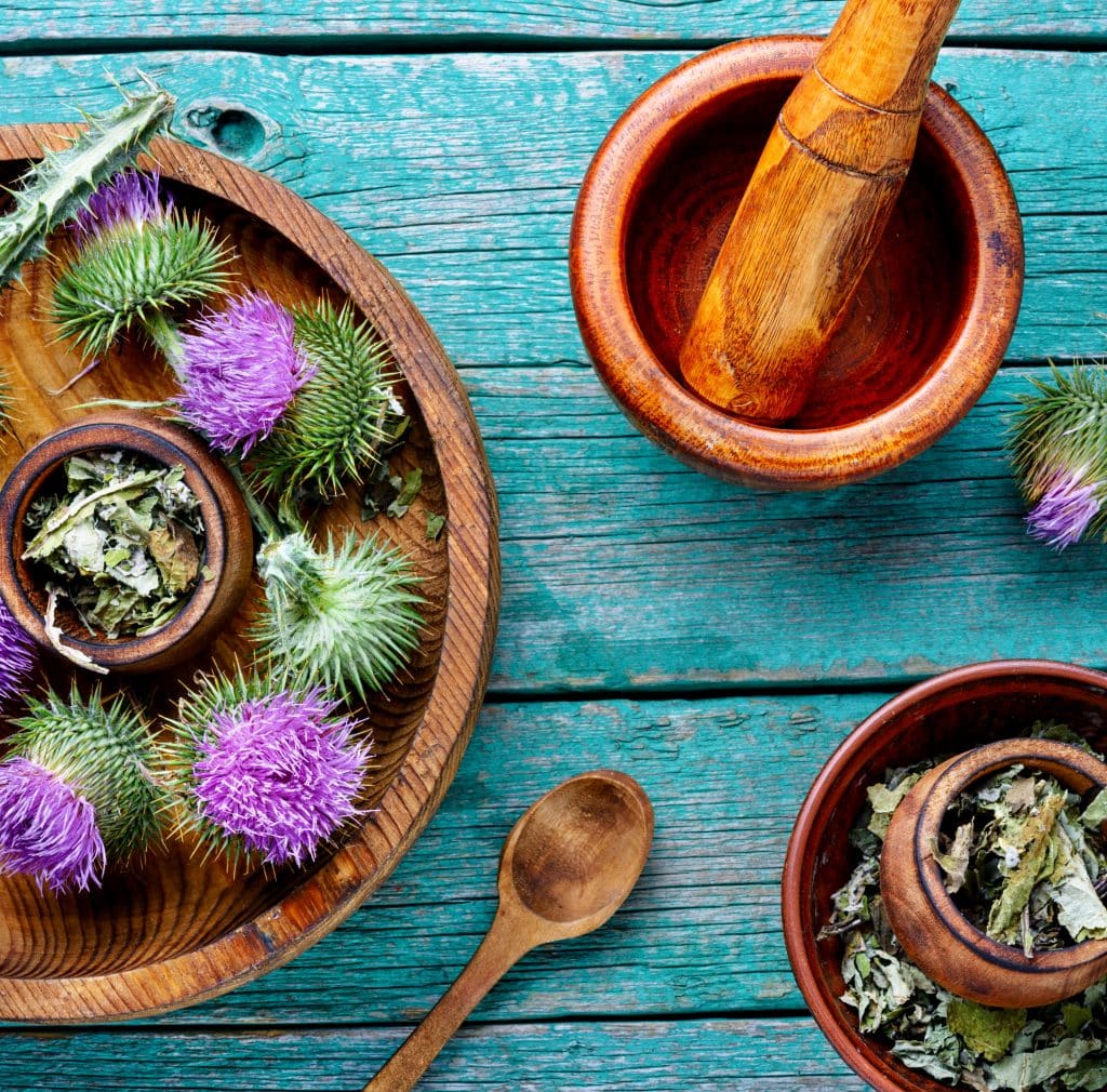 Milk Thistle Power Unleashed: Unlocking the 6 Science-Based Health Benefits