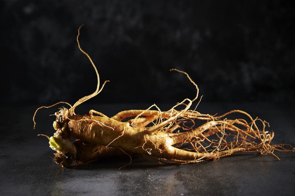 Panax Ginseng – Things You Must Know