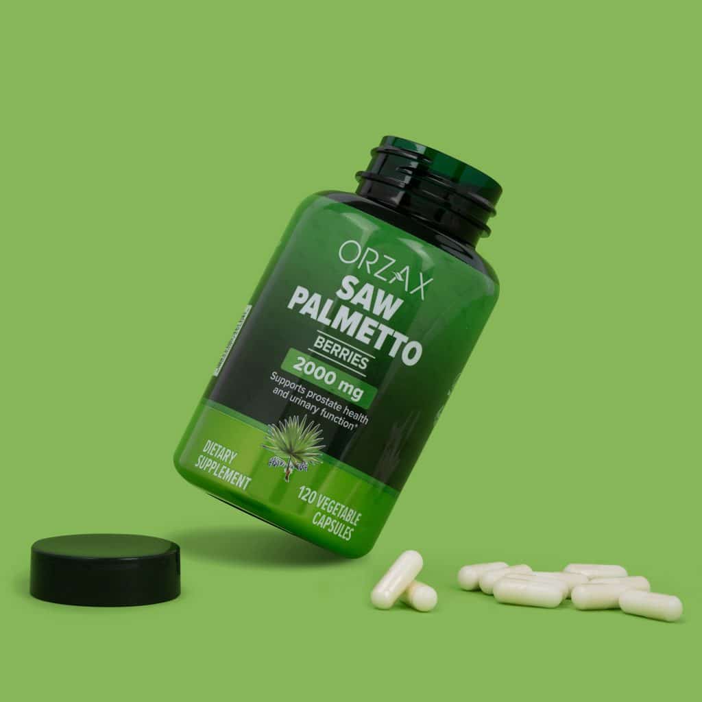 saw-palmetto
